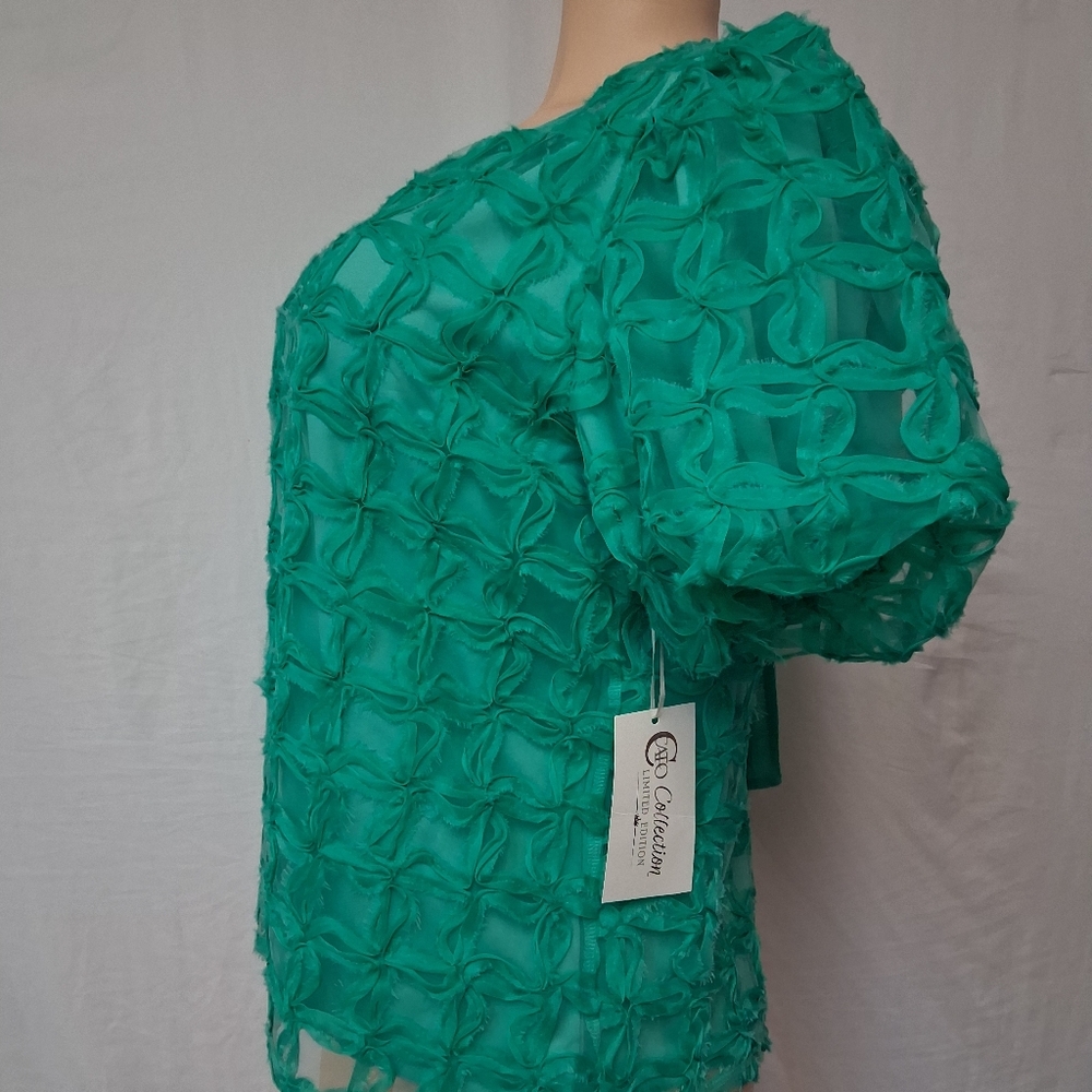 Cato Collection Limited Edition Chic Textured Green Blouse Size M - Picture 12 of 16